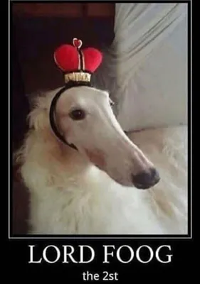 Avatar of Solairo