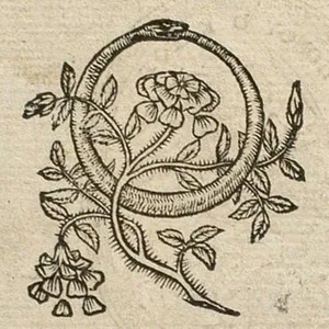 Avatar of ouroboric