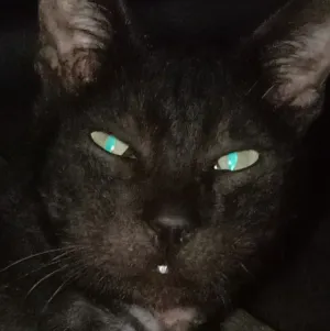 Avatar of andramdues