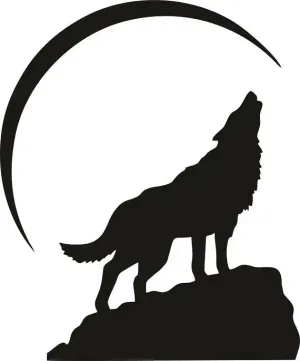 Avatar of Wolfizzi