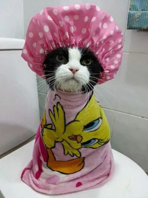 Avatar of Clumsy