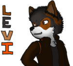 Avatar of Foxboy591