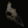 Avatar of N3v3rM0r3