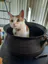 Avatar of frankieg