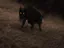 Avatar of EvilDark