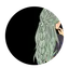 Avatar of SkyeOfStars