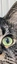 Avatar of 3cats