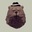 Avatar of SleepiestBear7