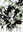Avatar of SanitySample