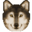 Avatar of Wolx7891