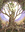 Avatar of Nyritoesa