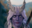 Avatar of DamesWorld