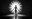 Avatar of Radiate