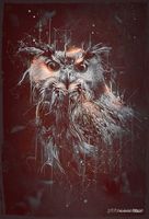 Avatar of Owlette