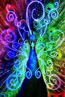 Avatar of OfManyFeathers