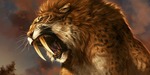 Avatar of Albionnn
