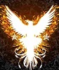 Avatar of FlameraBird
