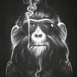 Avatar of IceMind