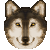 Avatar of Wolx7891