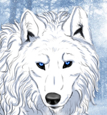 Avatar of Taran Clarke